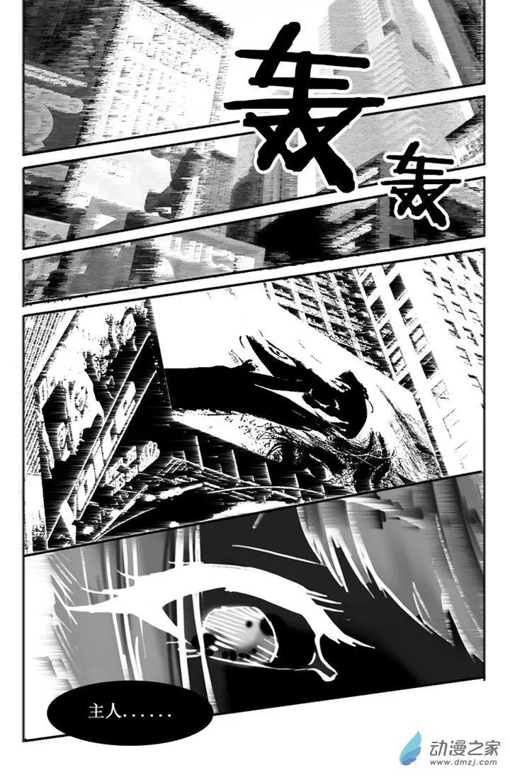 第51回