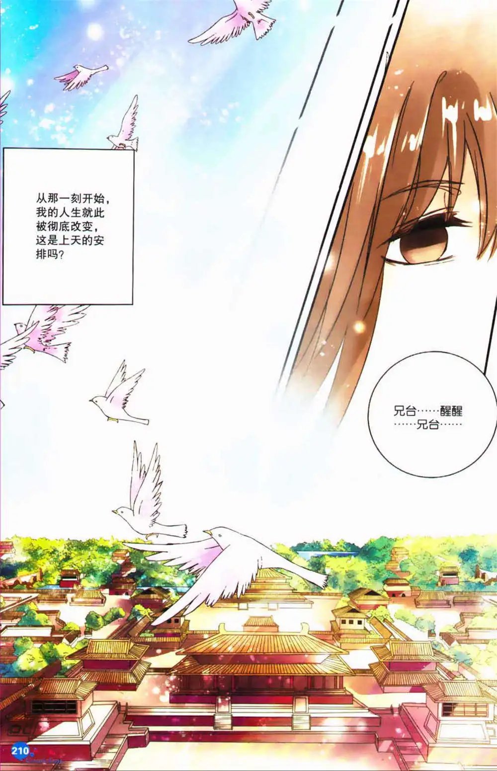 第365期 全本