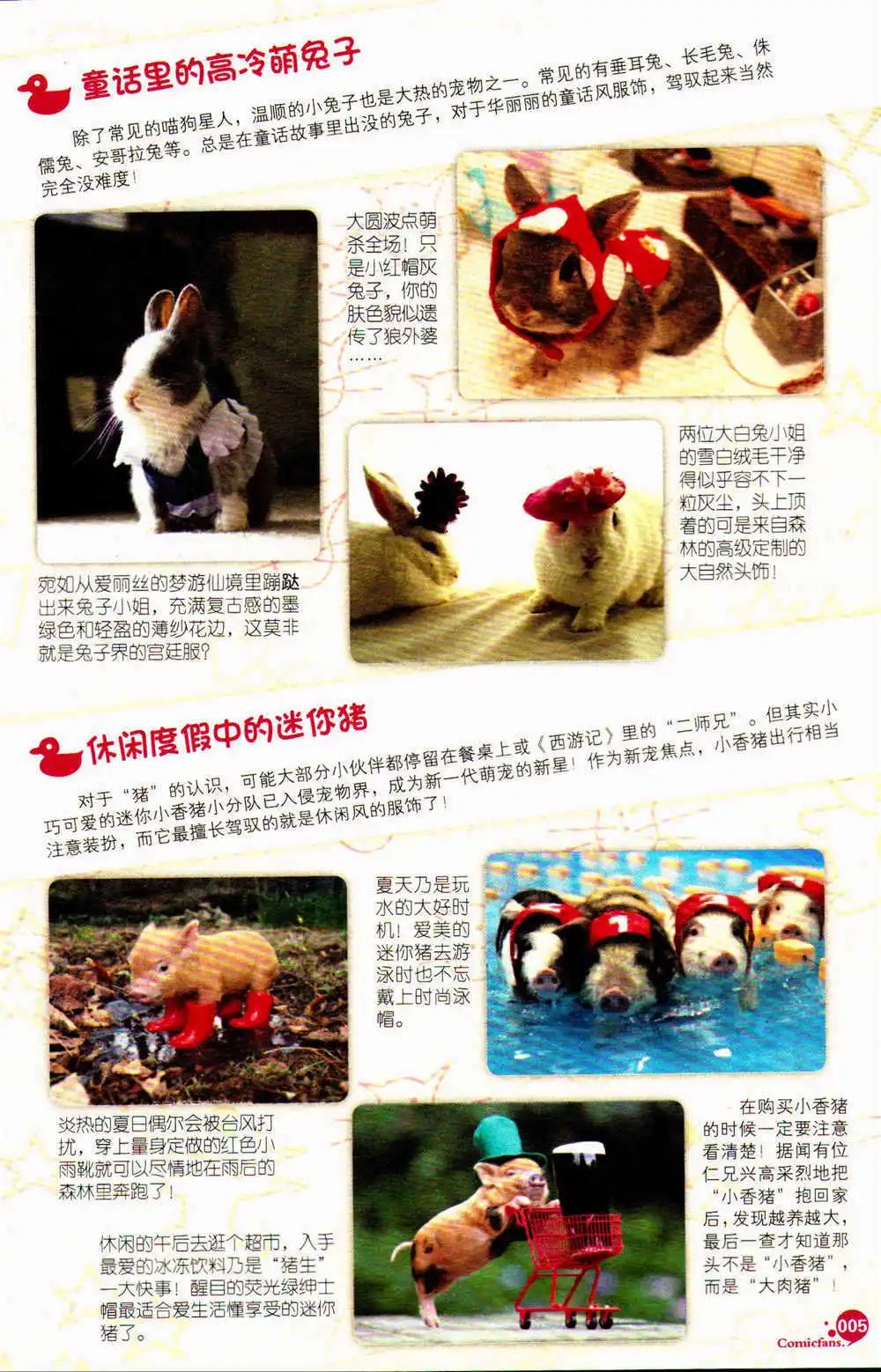 第369期 全本