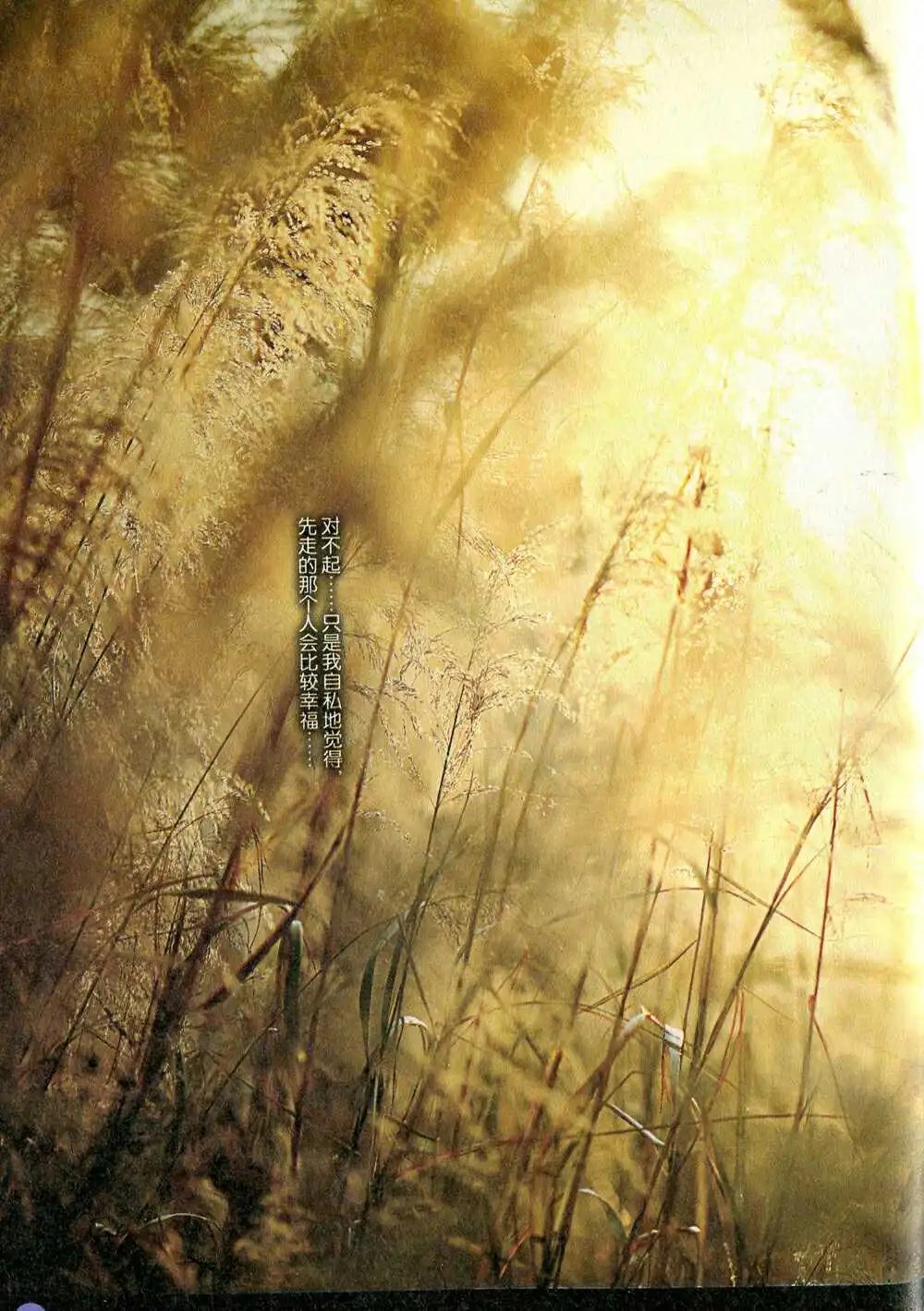 第372期 全本