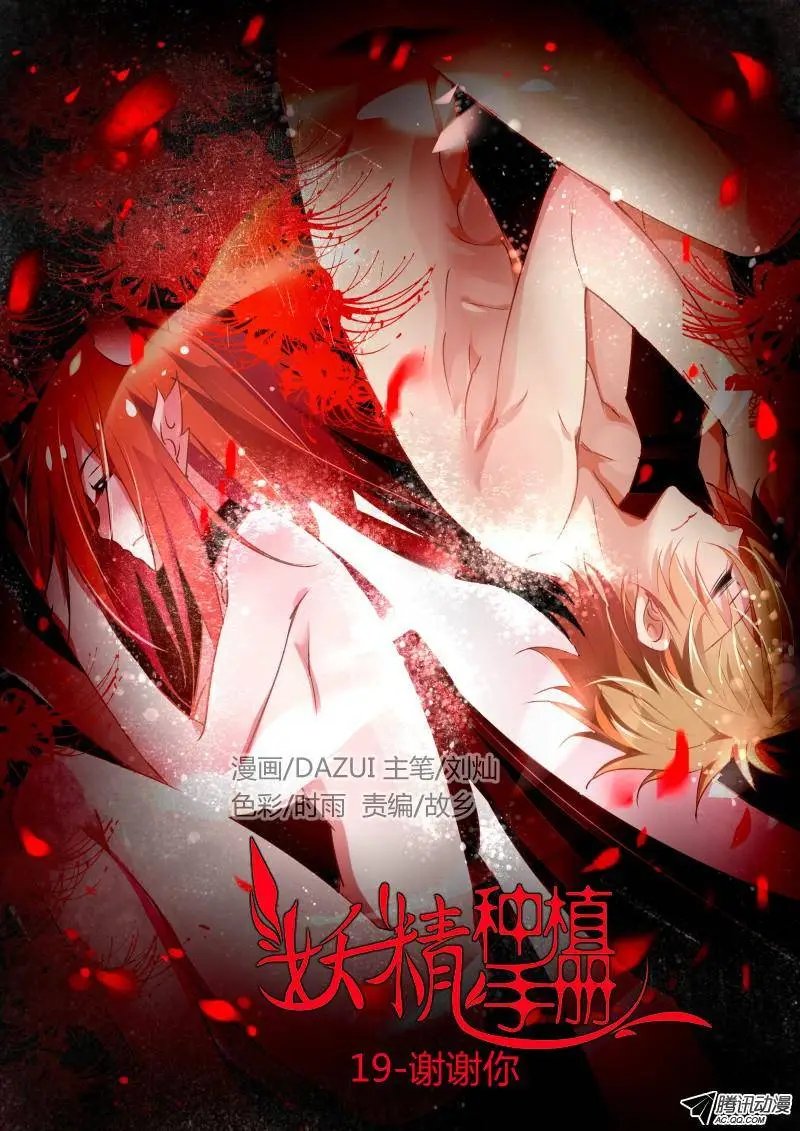 19-谢谢你