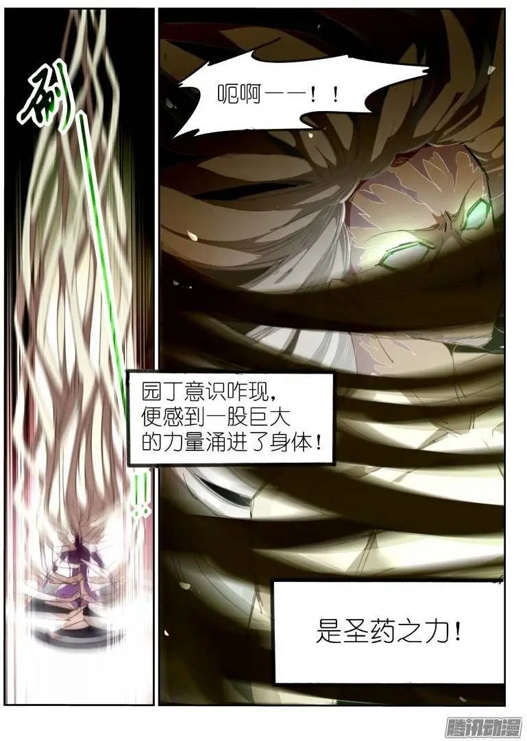 216-跟白芷合体！