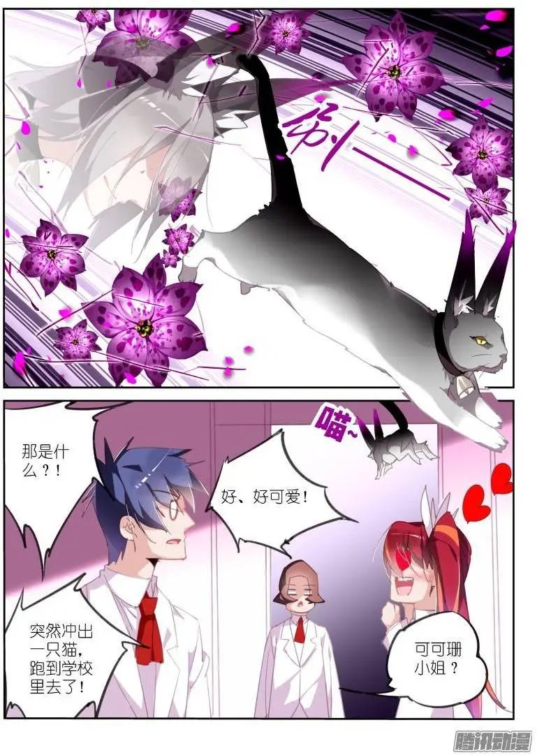 223-厄运猫妖？