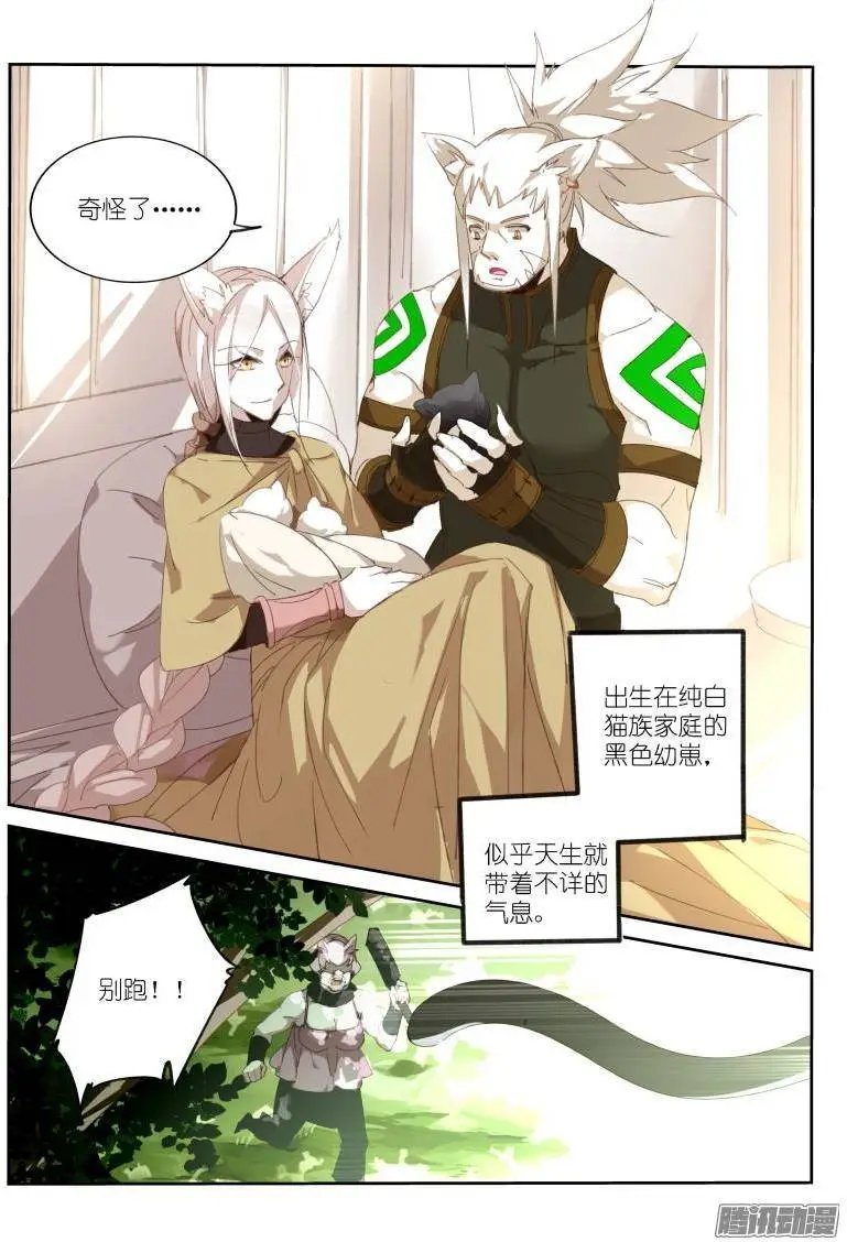 234-黑猫