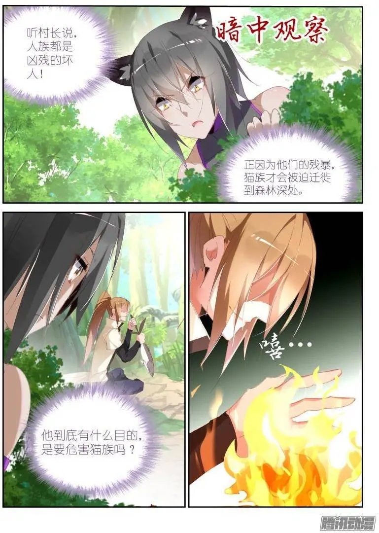 237-黑猫的暗中观察