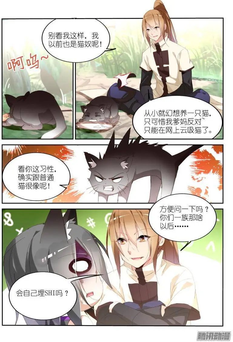 237-黑猫的暗中观察