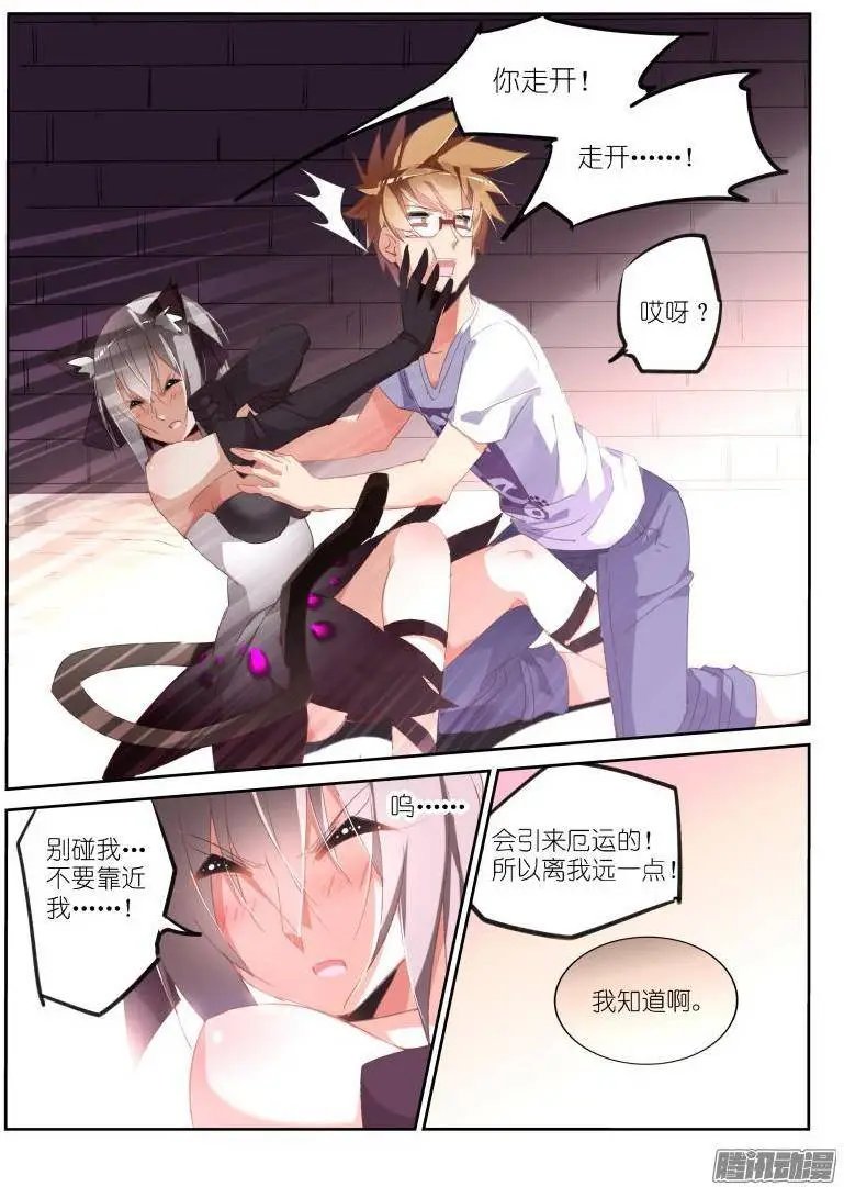 240-死猪不怕开水烫