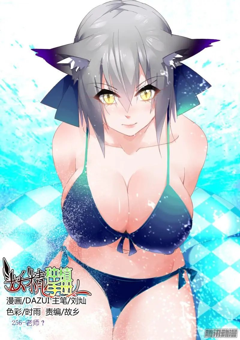 256-老师？
