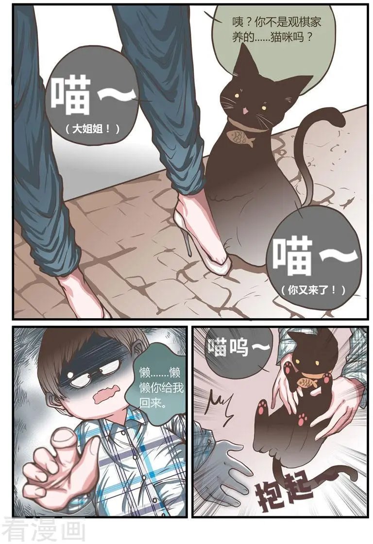 第25话 原来观棋大人是猫奴呀！