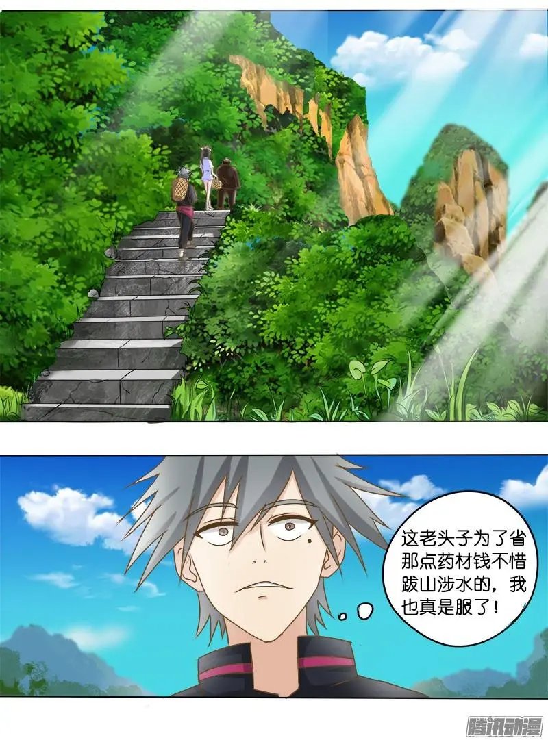 第014话 上山采药
