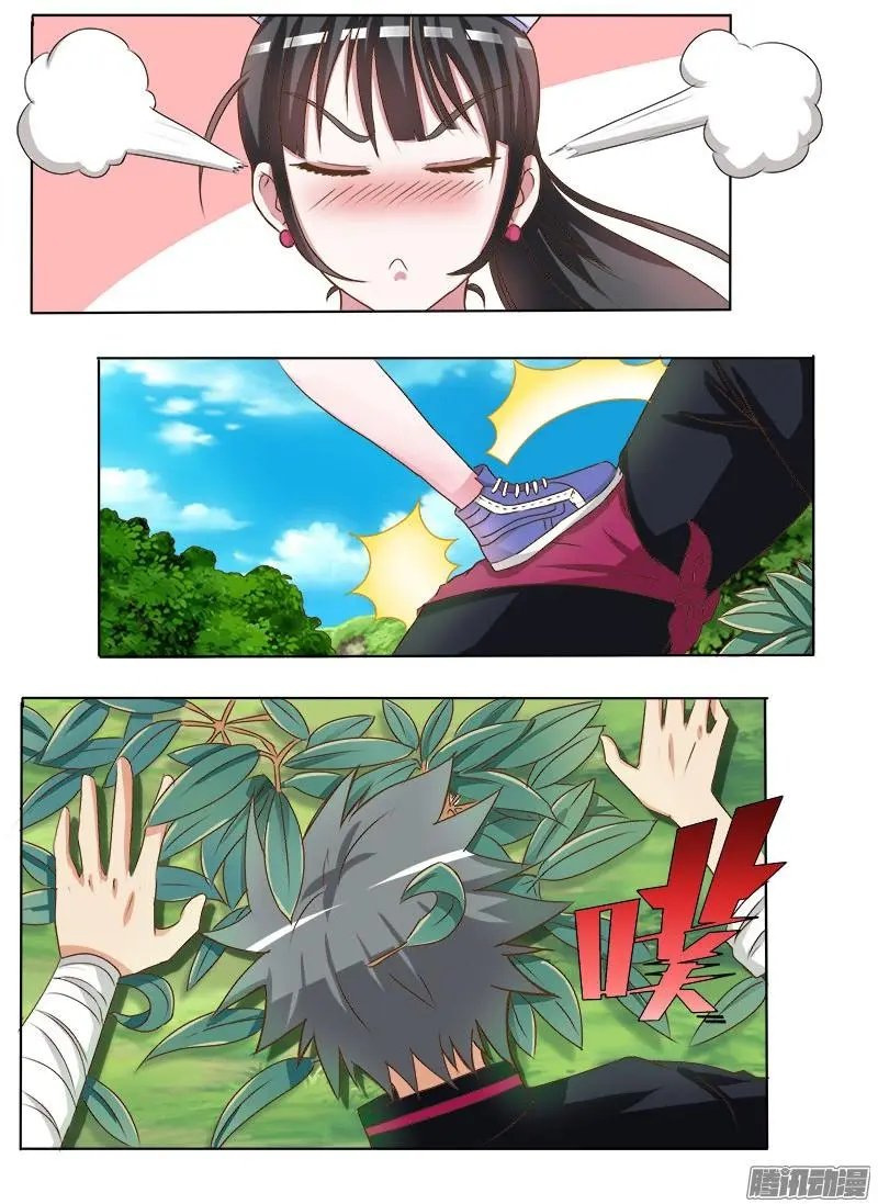 第015话 金钱龟