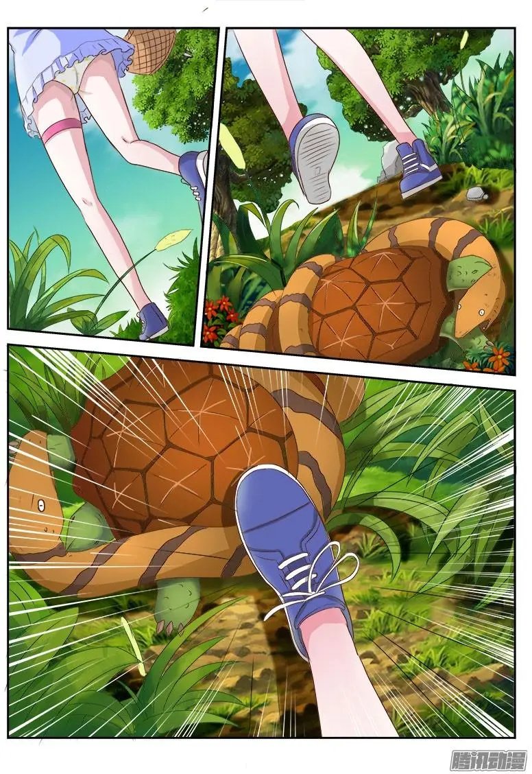 第015话 金钱龟