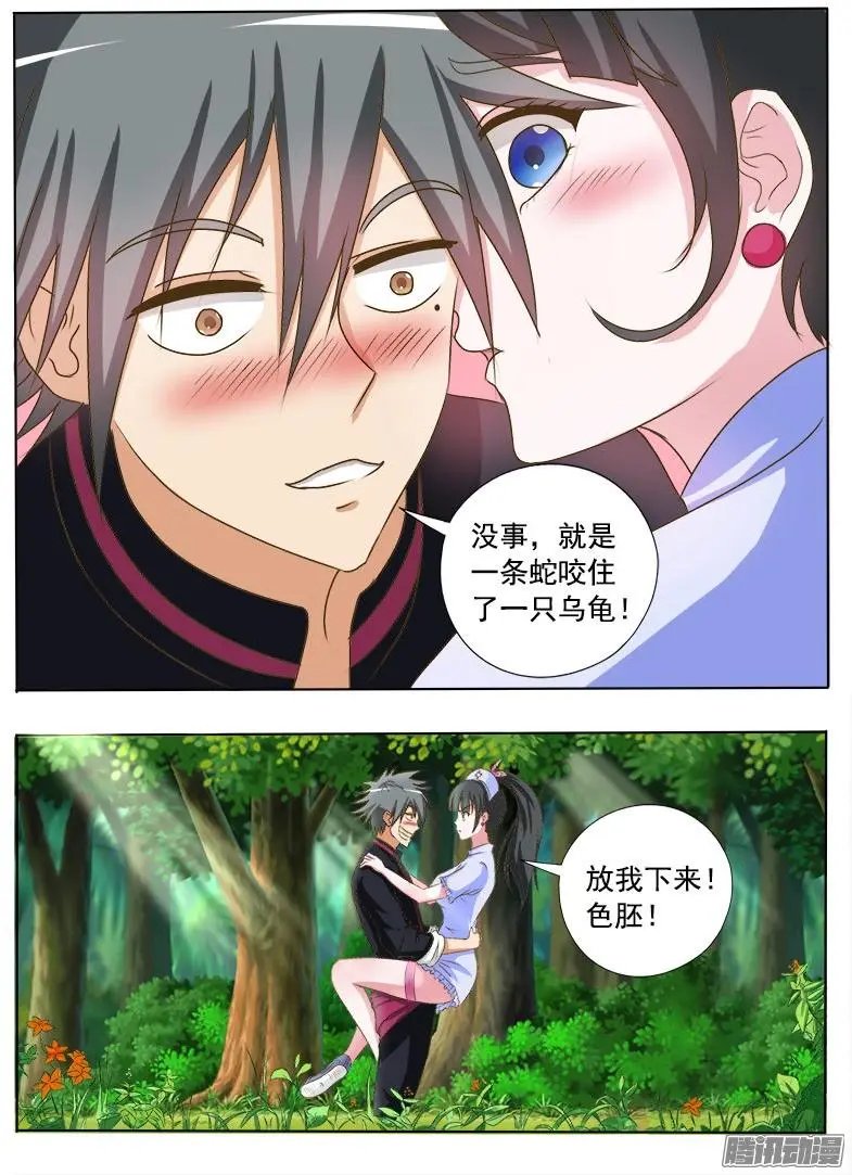 第015话 金钱龟