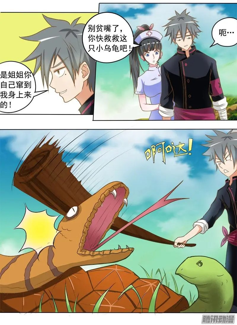 第015话 金钱龟