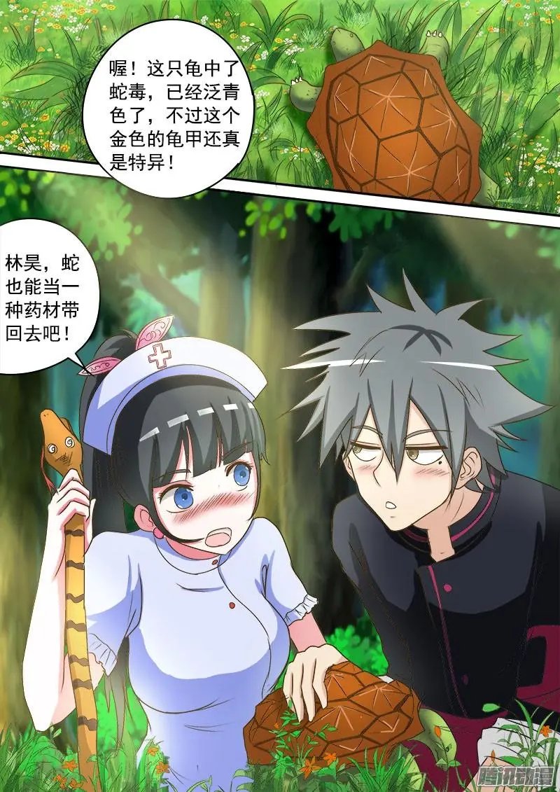 第015话 金钱龟