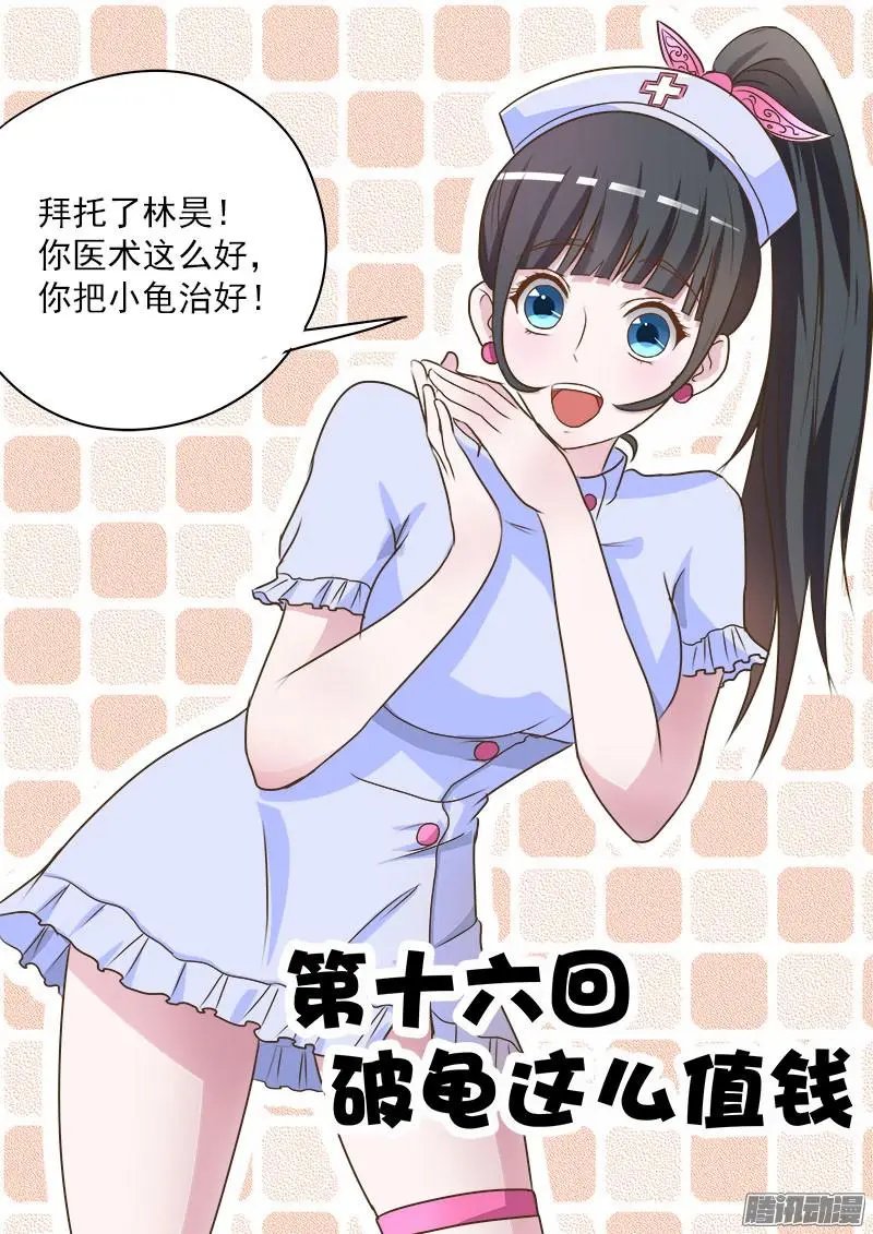 第016话 破龟这么值钱