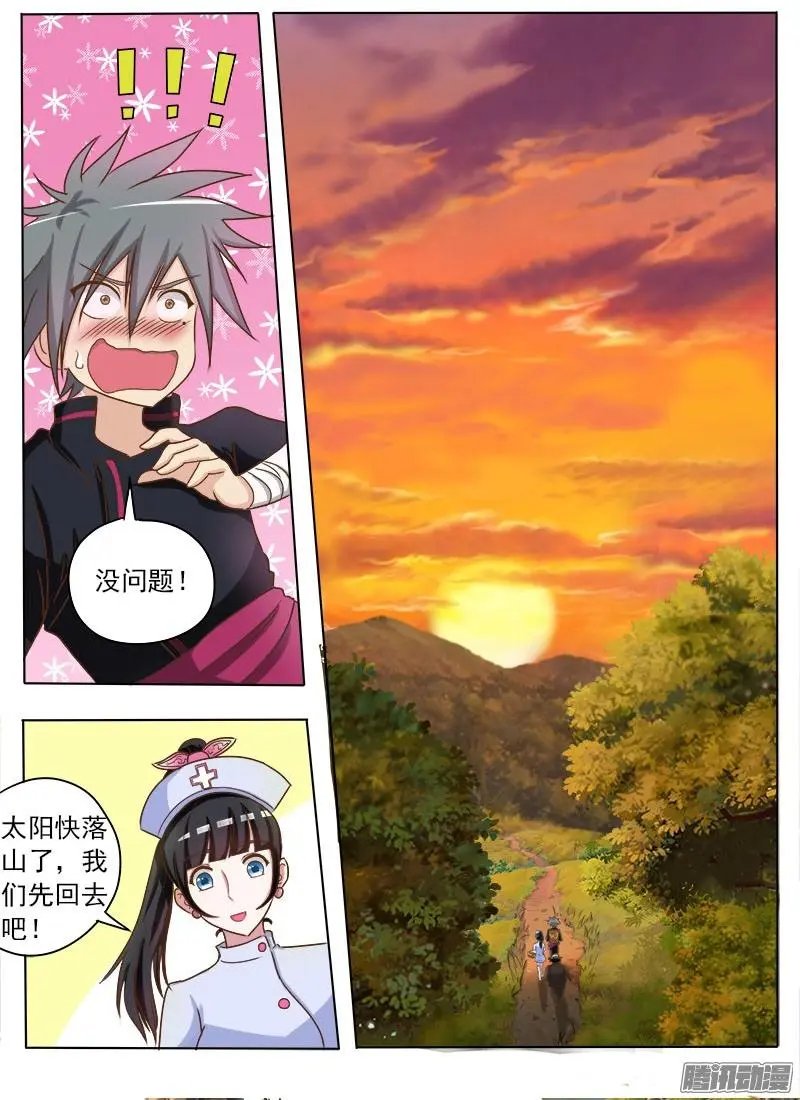 第016话 破龟这么值钱