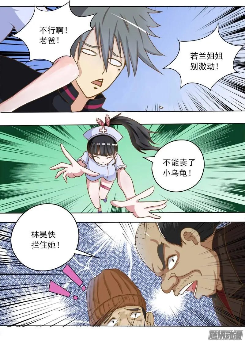 第016话 破龟这么值钱