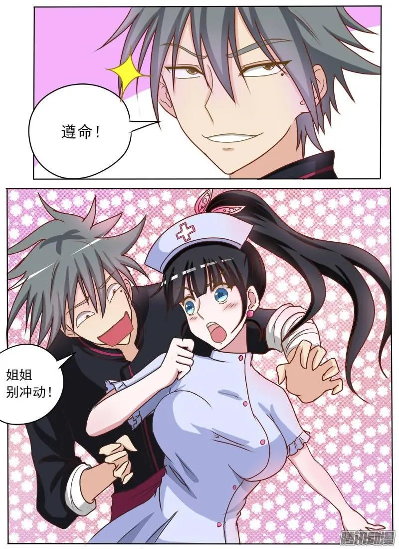 第016话 破龟这么值钱
