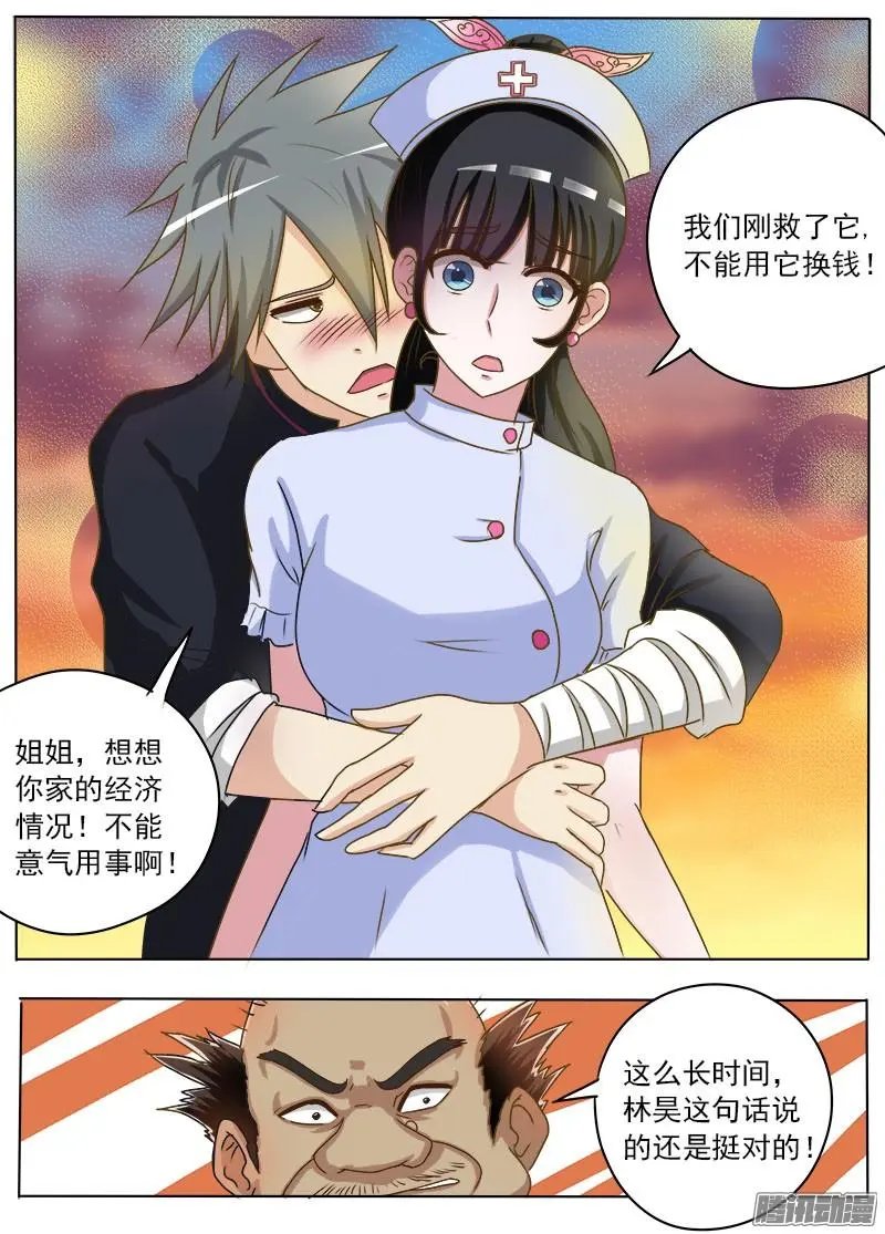 第016话 破龟这么值钱