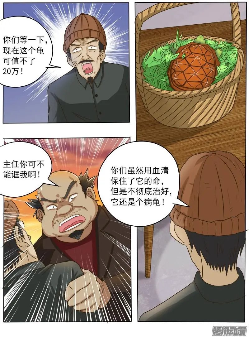 第016话 破龟这么值钱