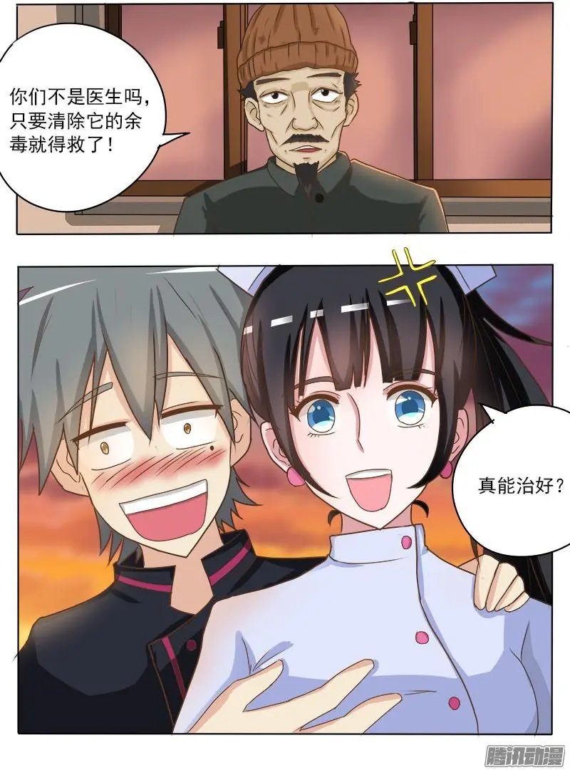 第016话 破龟这么值钱