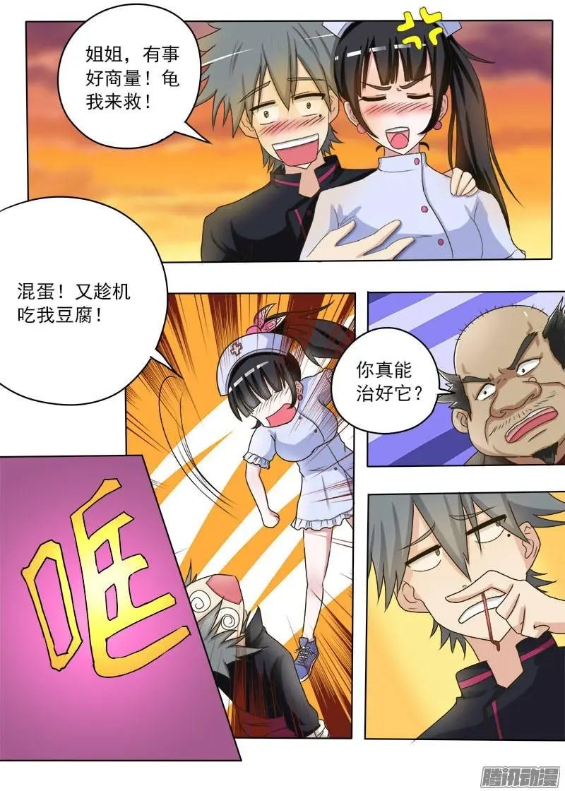 第016话 破龟这么值钱