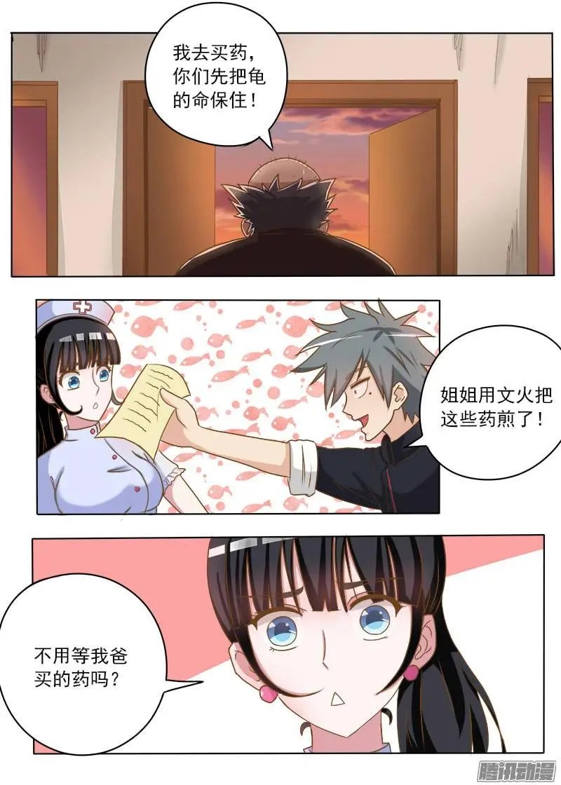 第017话 妙手巧救小乌龟