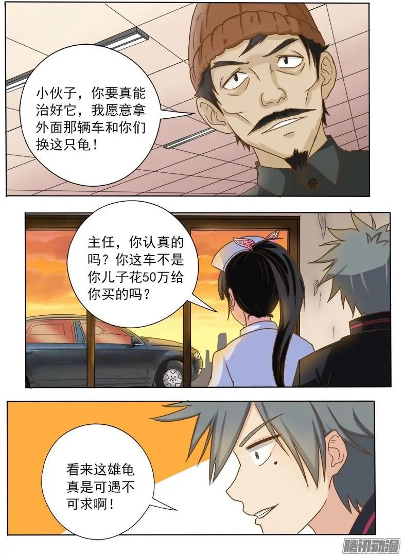 第017话 妙手巧救小乌龟