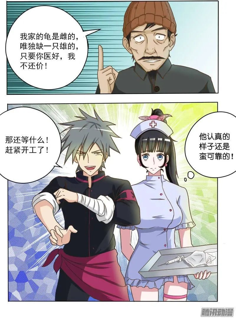 第017话 妙手巧救小乌龟
