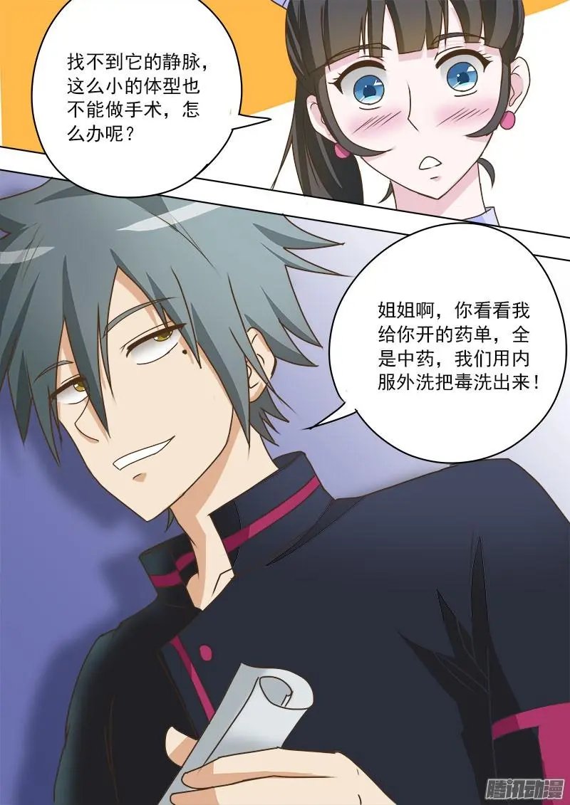 第017话 妙手巧救小乌龟