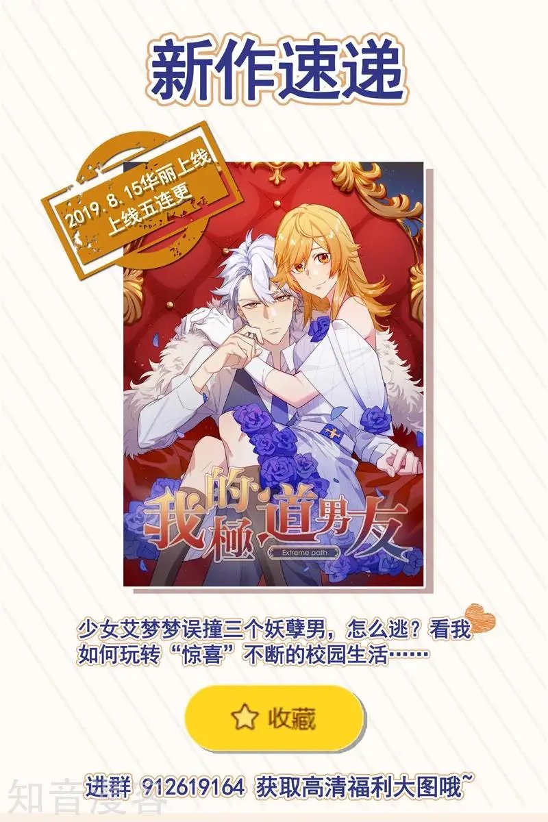 第315话 计划出炉