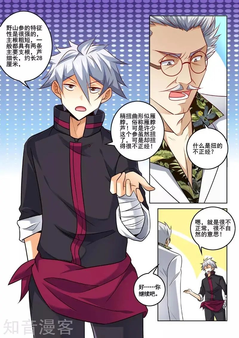第317话 人参风波