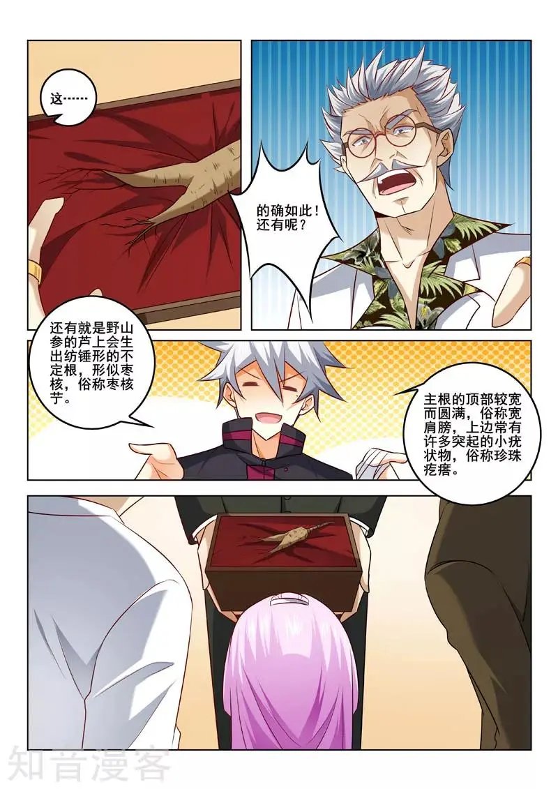 第317话 人参风波
