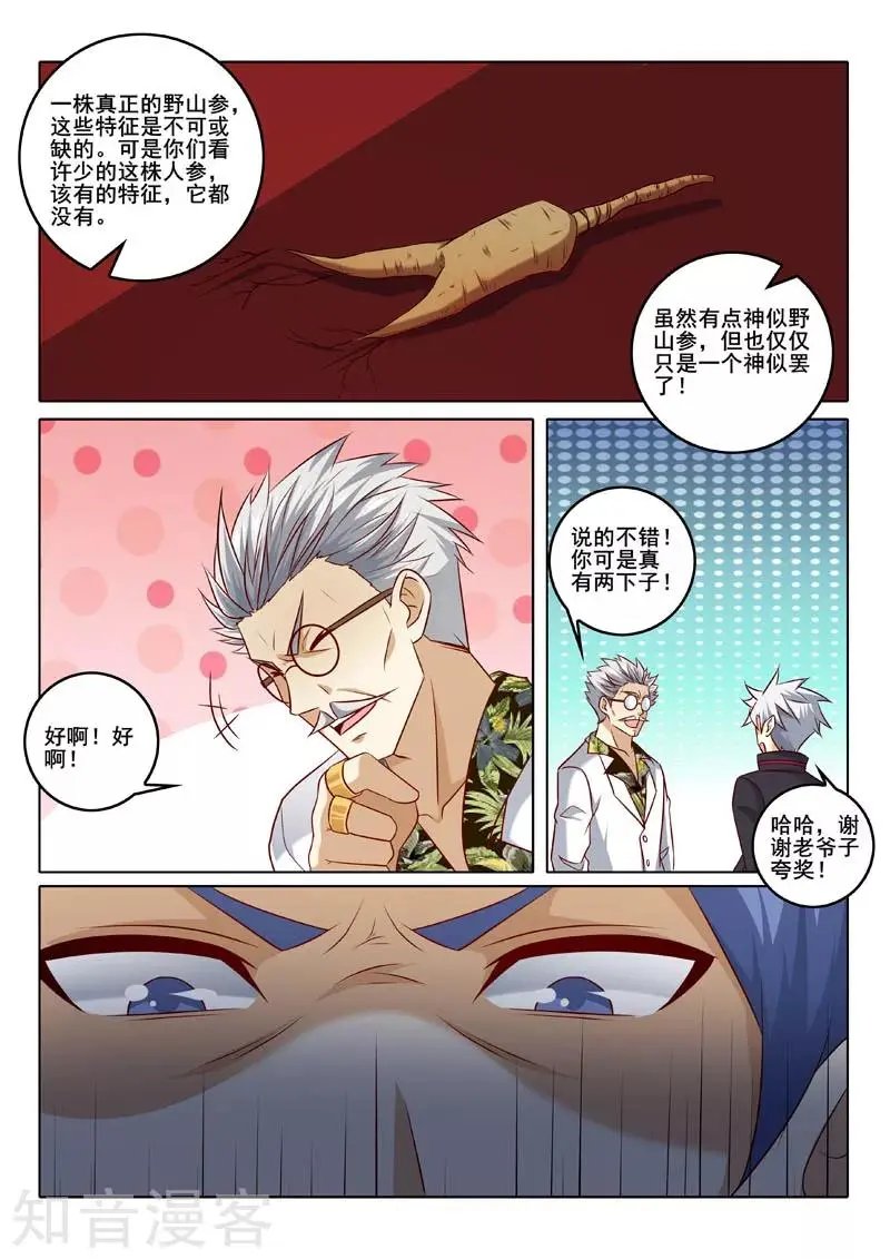 第317话 人参风波