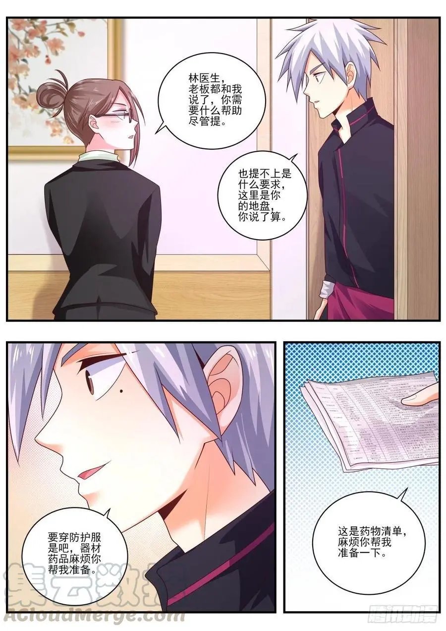 第480话 铁线莲