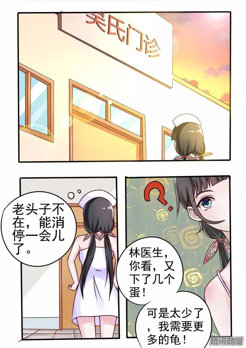 第54话 金龟大老板