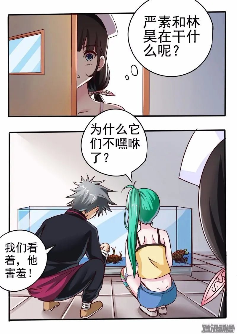 第54话 金龟大老板