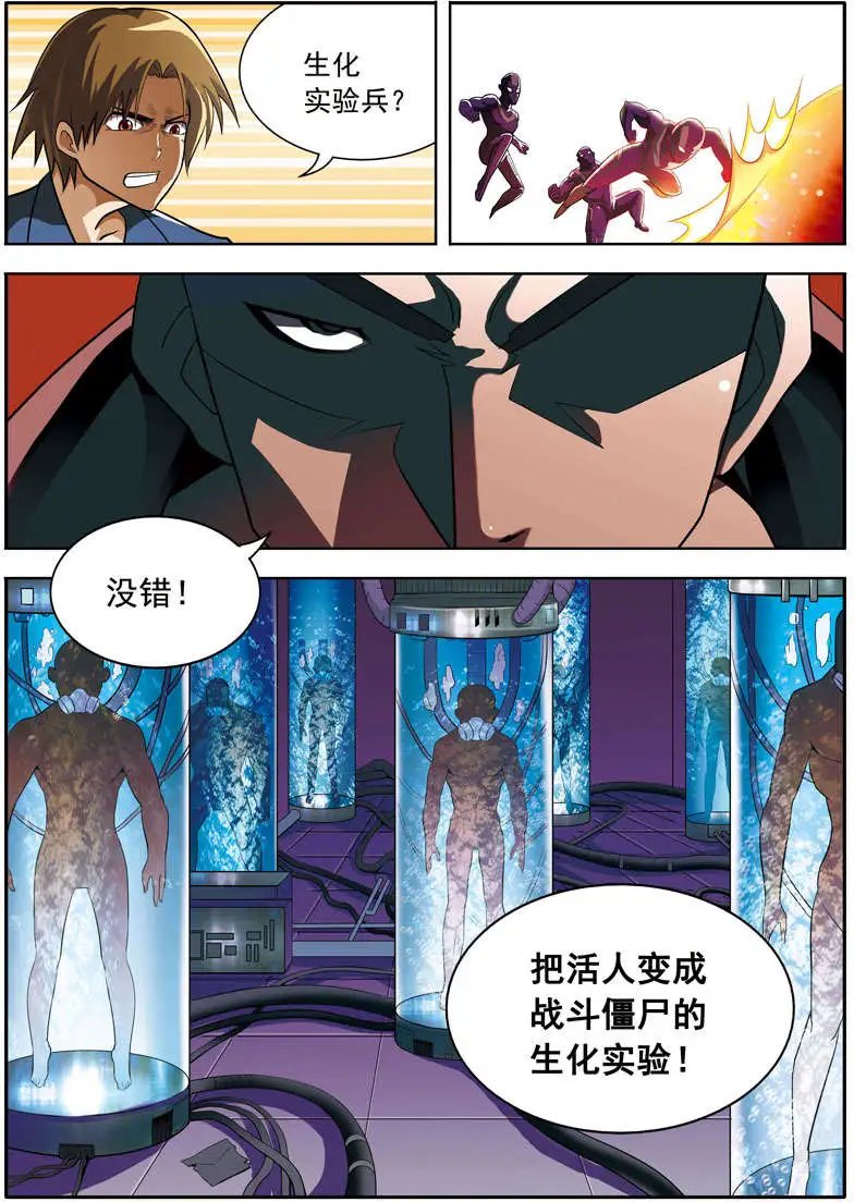 第62回 小白菜