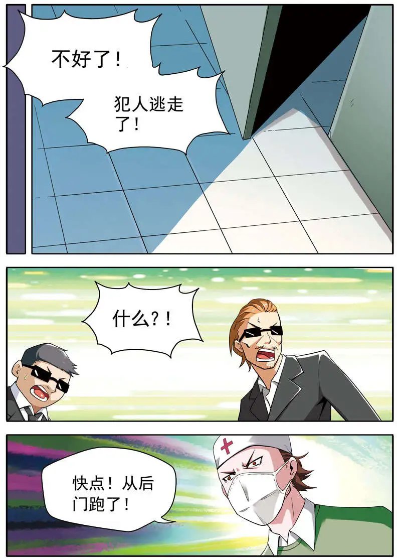 第62回 小白菜