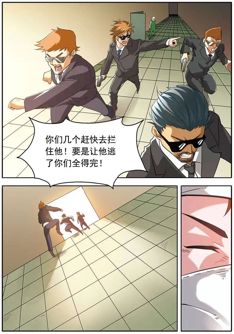 第62回 小白菜