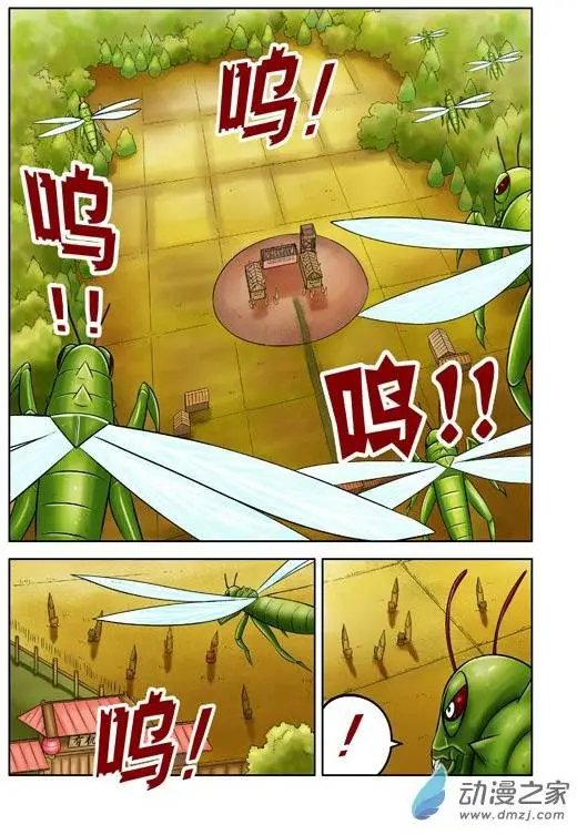 第41回