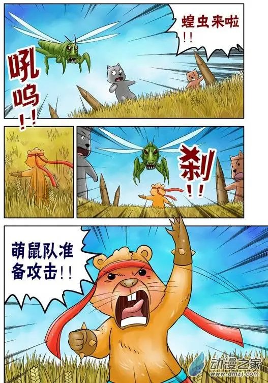 第41回