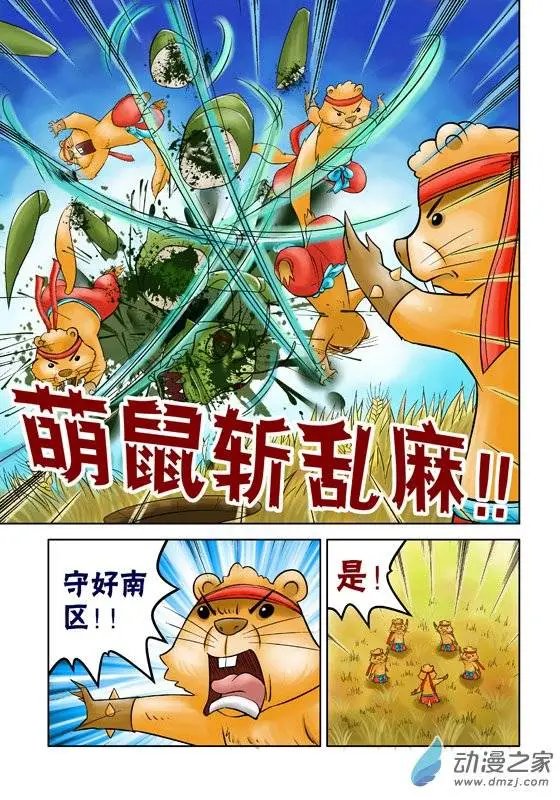 第41回