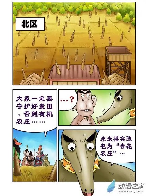 第41回