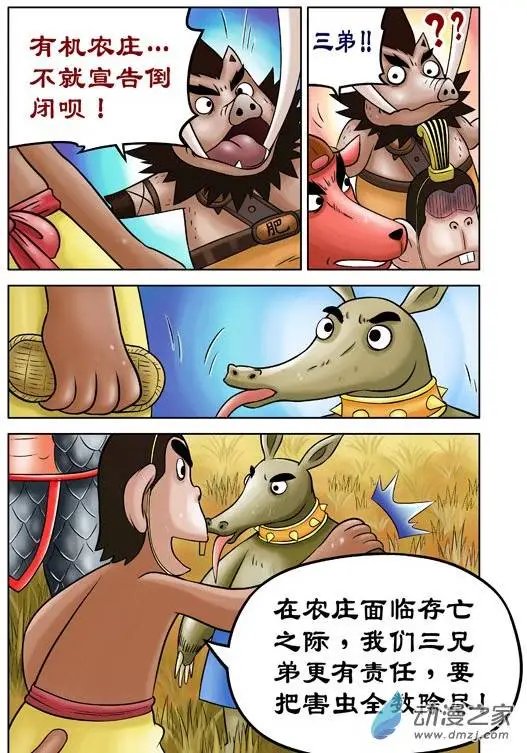 第41回