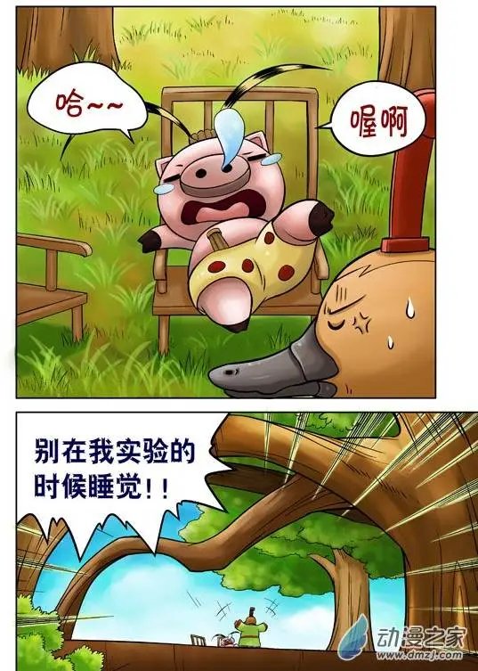 第41回