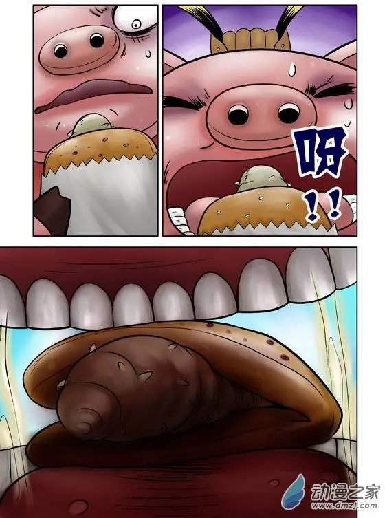 第41回