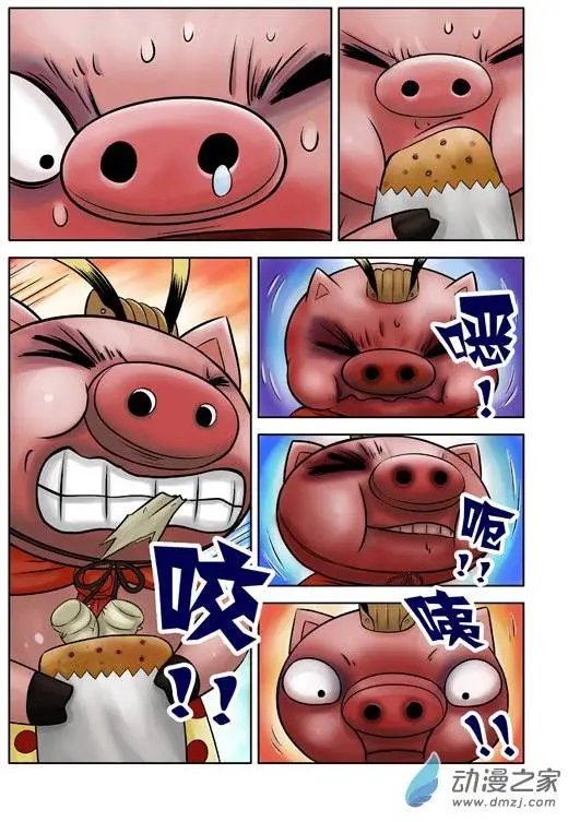 第41回