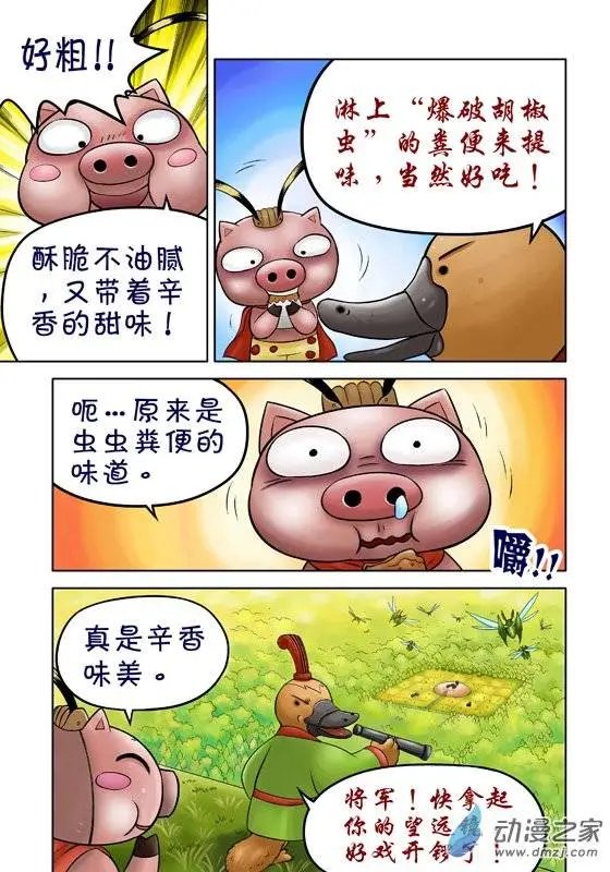 第41回